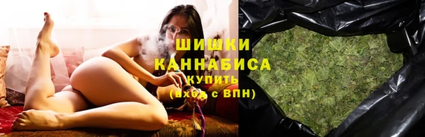 хмурый Няндома