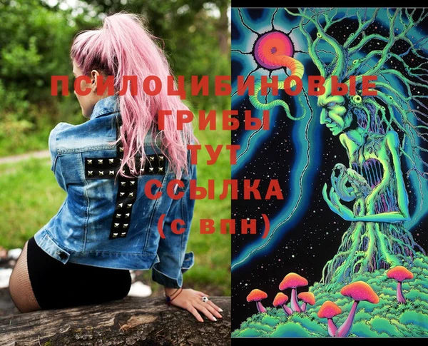 MDMA Premium VHQ Нязепетровск