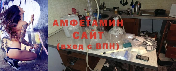 хмурый Няндома