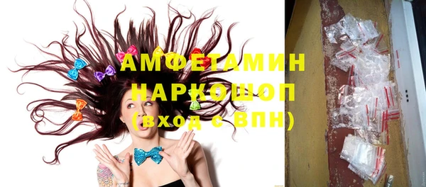 хмурый Няндома