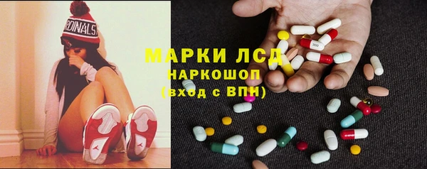 хмурый Няндома