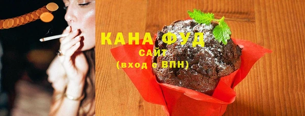 хмурый Няндома