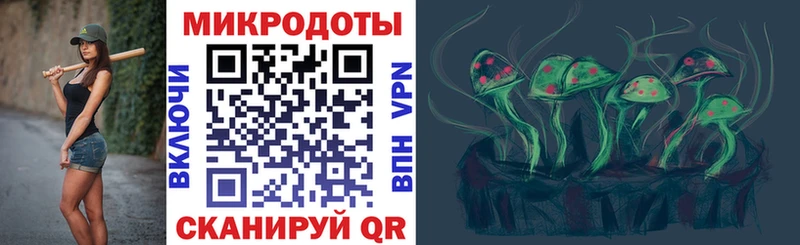 darknet формула  Луза  Псилоцибиновые грибы Psilocybe 